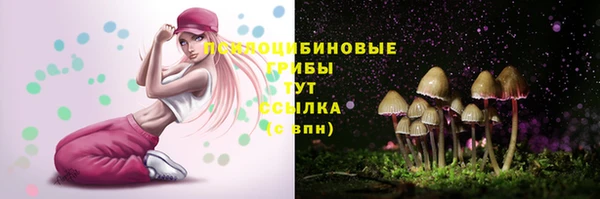 винт Баксан