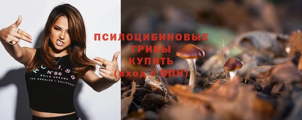 ГАЛЛЮЦИНОГЕННЫЕ ГРИБЫ Семикаракорск