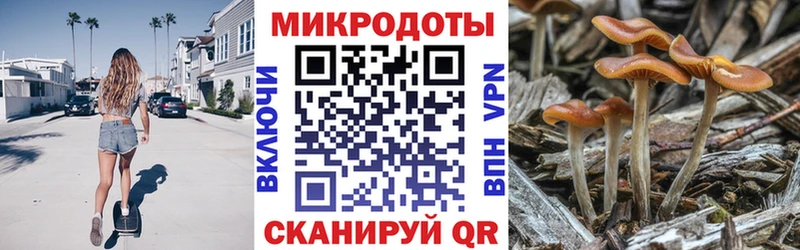 где можно купить   Никольское  Галлюциногенные грибы GOLDEN TEACHER 